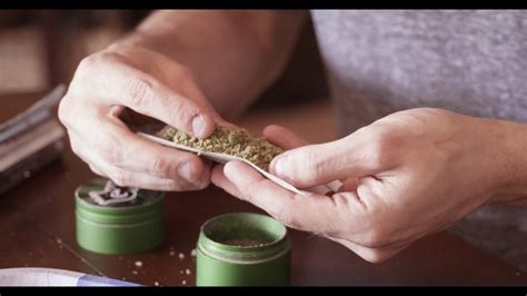How to Roll a Perfect Joint, Blunt or Backwood - Colorado Cannabis Tours