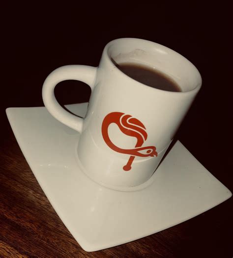 Enjoying a nice cup of Kavat Coffee : r/systemofadown