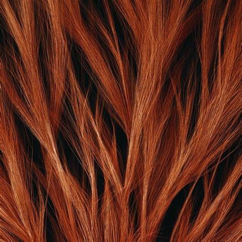 TFMSTYLE Everyday Projects Library