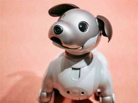 Robots with benefits: how sexbots are marketed as companions