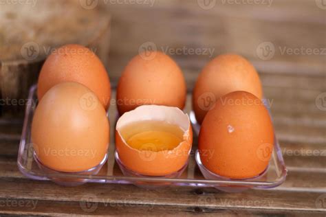 page   egg stock  images  backgrounds