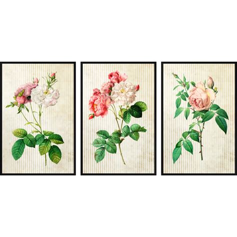 Rosas vintage