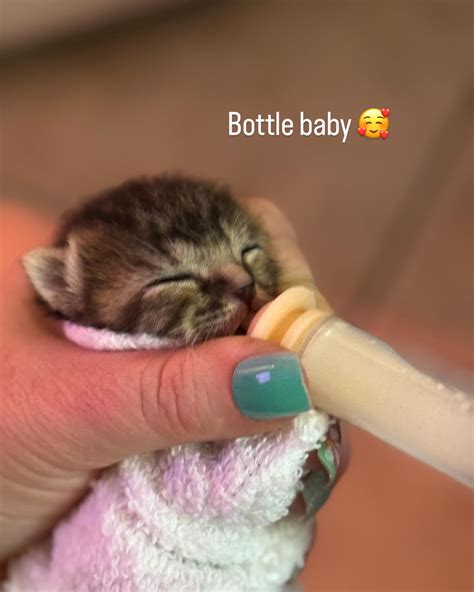 Nikki Walters (@nikki_walters) • Instagram photos and videos