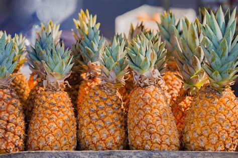 pineapple fruit tropical  photo  pixabay