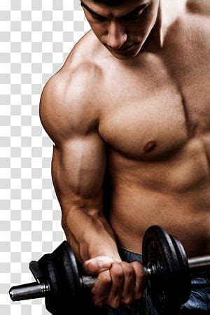 fitness centre weight training personal trainer physical fitness