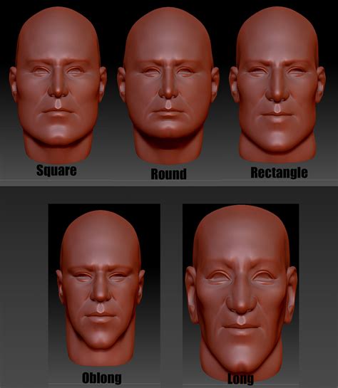 ryans animation portfolio basic face shapes