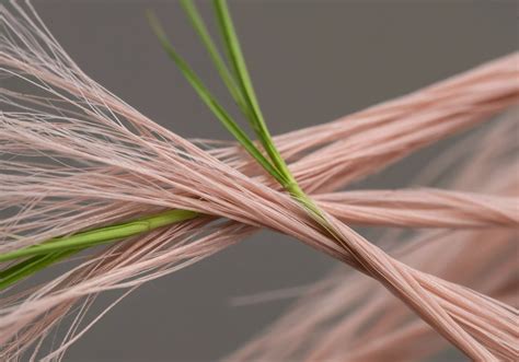 How Do Synthetic Fibers Compare to Natural Fibers in Terms of