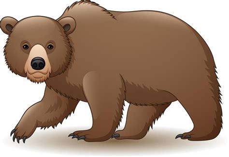 oso animado artofit