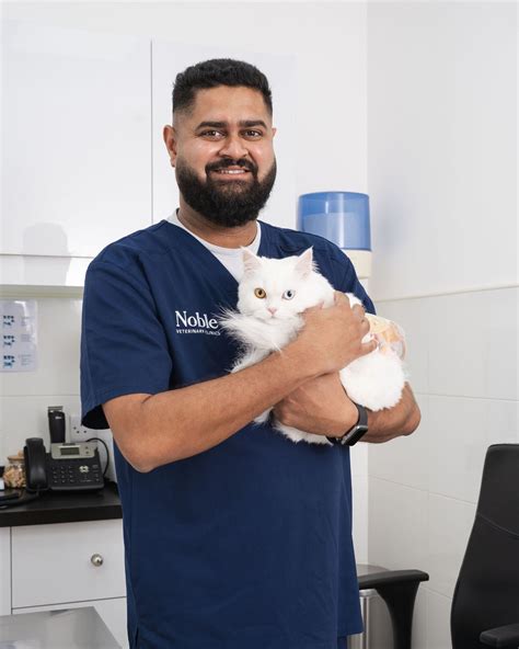 Toxoplasmosis in Cats 101: What It Is and How to Stop It