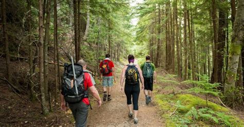 Doctors Explain How Hiking Actually Changes Our Brains