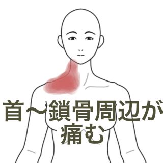 尺沢 しゃくたく｜ツボの場所と効果｜ツボネット 鍼灸の症例が検索できるツボ辞典