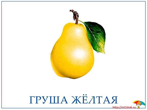 Распечатать карточки фрукты и ягоды, скачать на пк