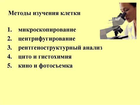 Клеточная теория. Развитие микроскопии - online presentation