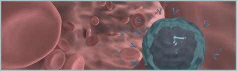 gentle mouse  cell enrichment  cell health physiology