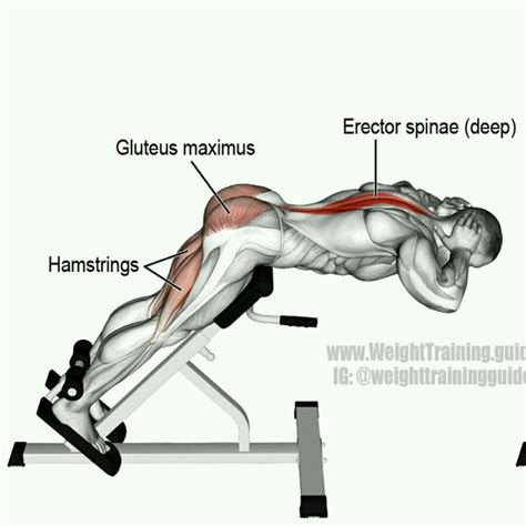 Hyperextension by Pavel B. - Exercise How-to - Skimble