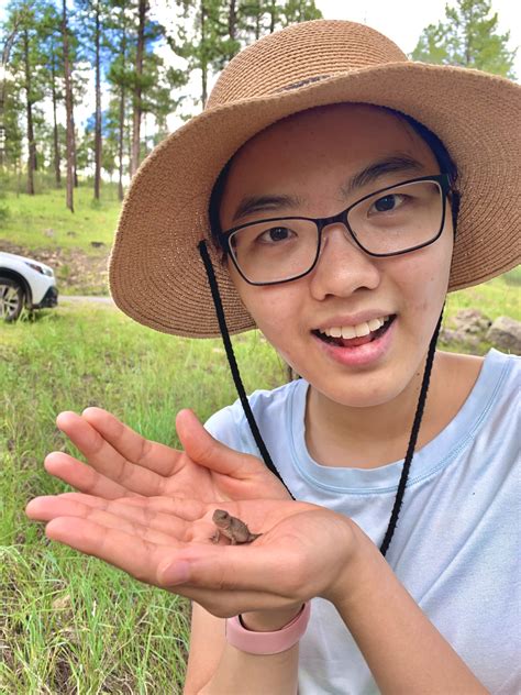 Streaming options will eventually be added to the daily MeTV sch 19