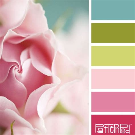 Blushing Bloom #patternpod #patternpodcolor #color #colorpalettes ...