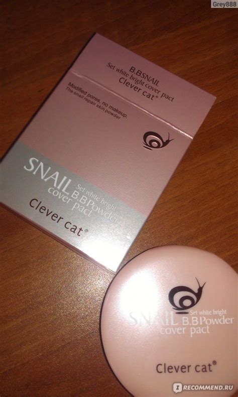 Пудра Clever cat Snail BB Powder - «Улиточная пудра из Тайланда» | отзывы