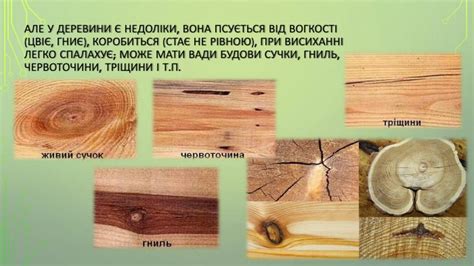 Презентація " Види деревних конструкційних матеріалів"
