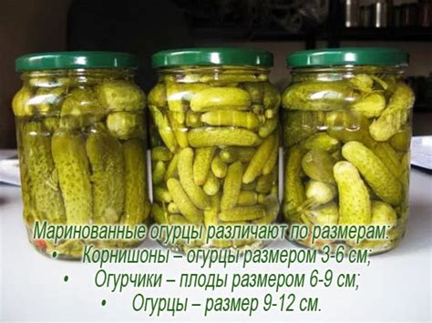Огурец маринованный - калорийность, полезные свойства, польза и вред ...