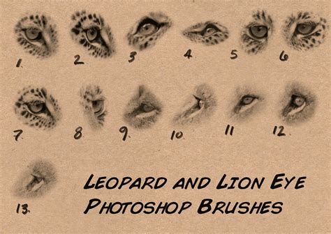 Custom Photoshop Brushes - Set 4 (Lion & Leopard Eyes)