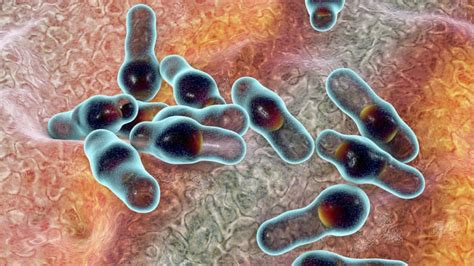 Botulism - Healthily