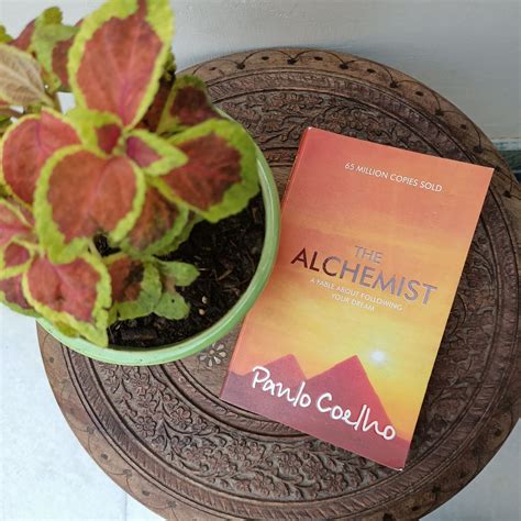 alchemist book review  alchemist  srishti jain medium