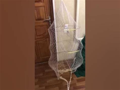 Вентерь рыболовный - YouTube
