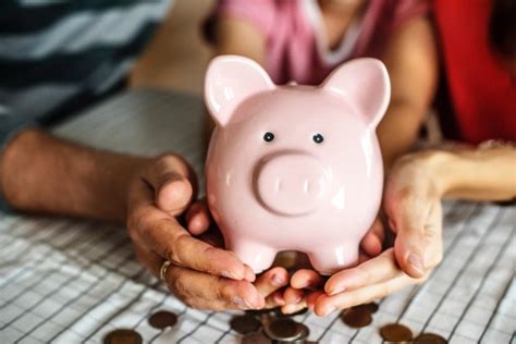 images piggy bank saving money handling animal figure