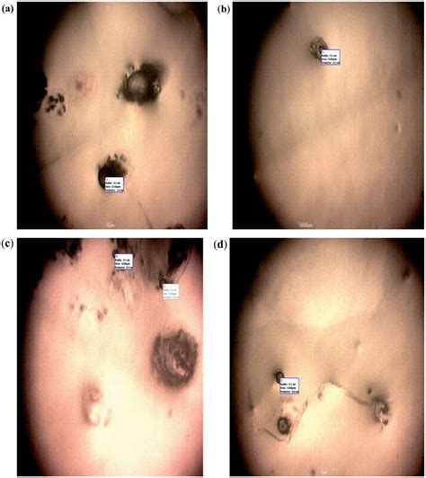Photomicrograph of insulin-loaded microspheres containing various ...