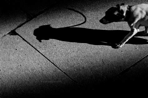 appeso foto immagini sentimenti mood mud foto su fotocommunity