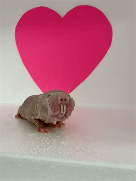 naked girls twearking 4