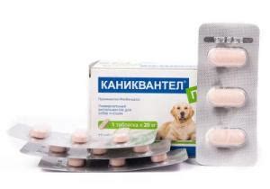 Каниквантел для собак — инструкция по применению