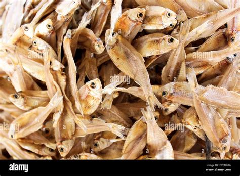 dried small fish   thai market stock photo alamy
