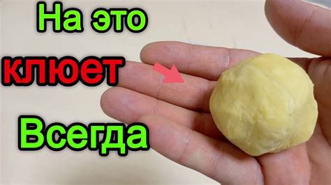 Лучшее тесто для рыбалки . Тесто на карася. Тесто которое ловит всю ...