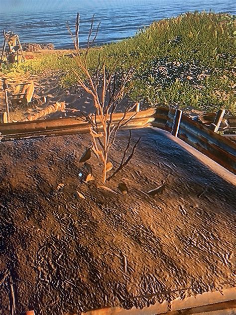 stranded deep pipi 1