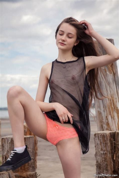 alissa marvel   beach  lion