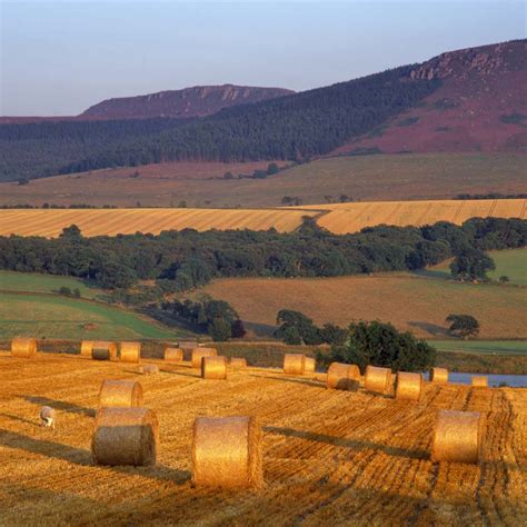 simonside hills  coquet valley northumberland national park