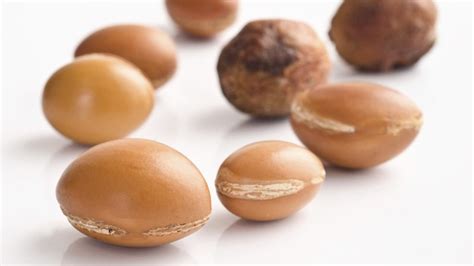 Base oil of the month: Argan - Beyond Bend