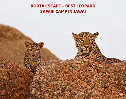 Korta Projects | Photos, videos, logos, illustrations and branding on ...