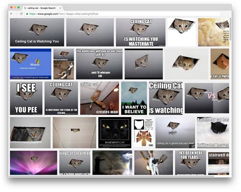 Ceiling Cat (2016)