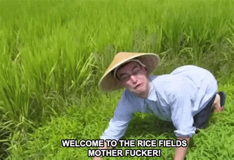 Image - WelcometoTheRiceFields.gif | Filthy Frank Wiki | FANDOM powered ...