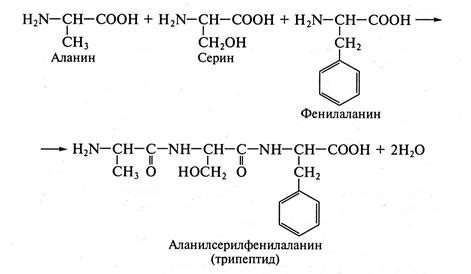 Номенклатура пептидов