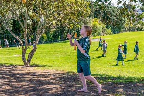 The Mellons Bay Way — Mellons Bay School