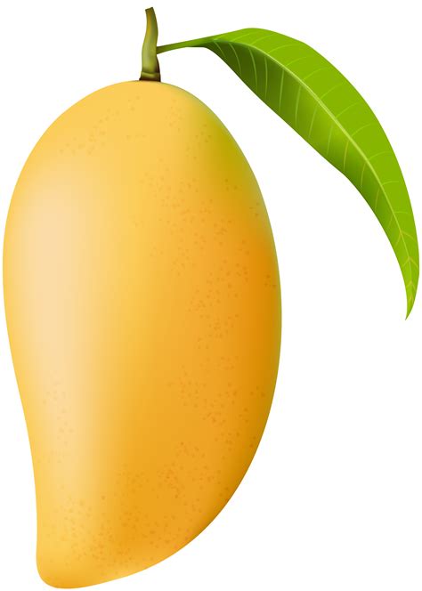 Mango Png Clip Art Image Mango Clipart Png X Png Download Sexiz Pix ...