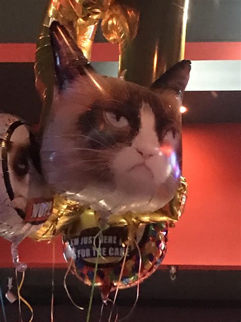 My friend's mom got him grumpy cat balloons for his birthday. Grumpy ...