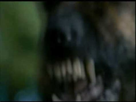 Os Selvagens (Trailer) - YouTube