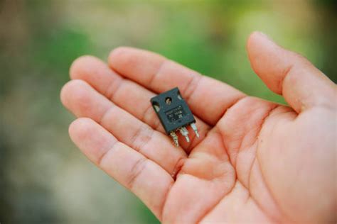 40+ Igbt Stock Photos, Pictures & Royalty-Free Images - iStock