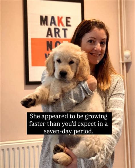 Why the yonke industry is growing faster than anyone expected 4