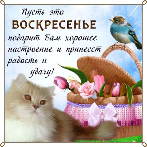 Доброго Воскресенья Картинки